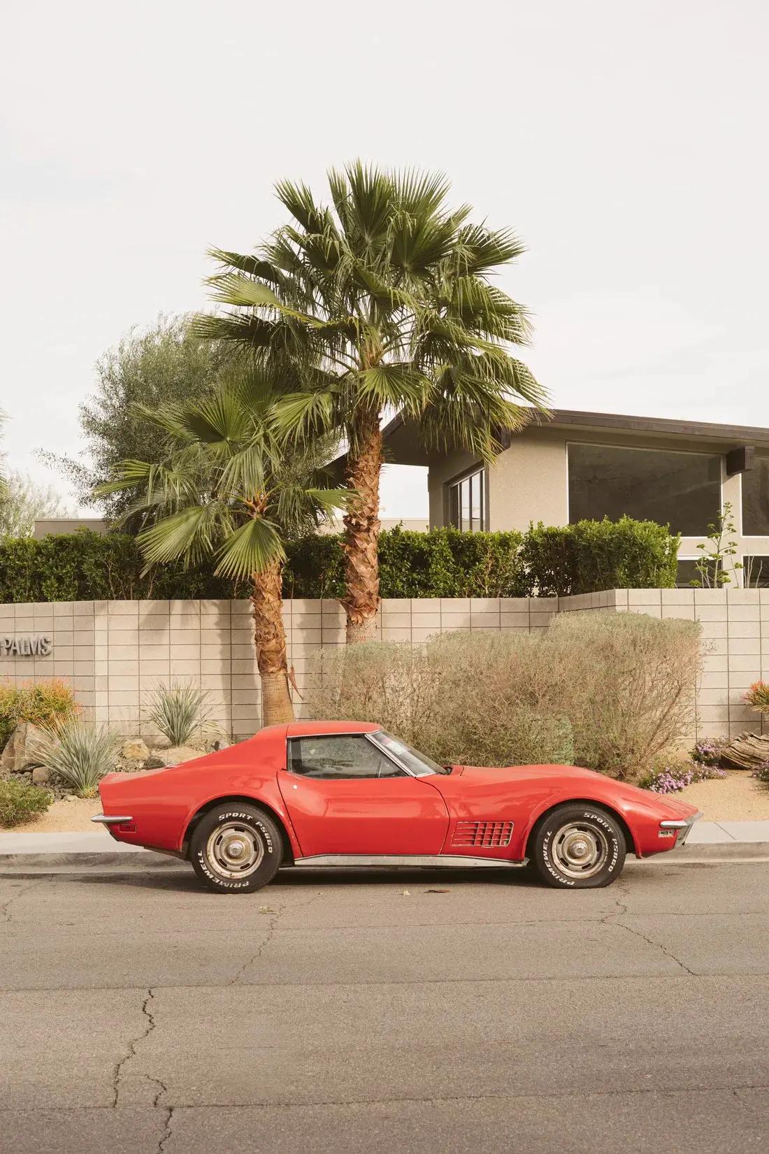 Corvette - Image 2