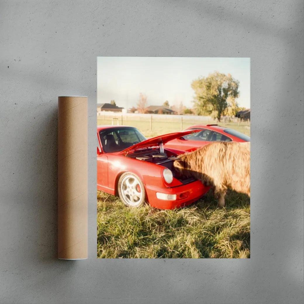 Cows and Cars - Image 3