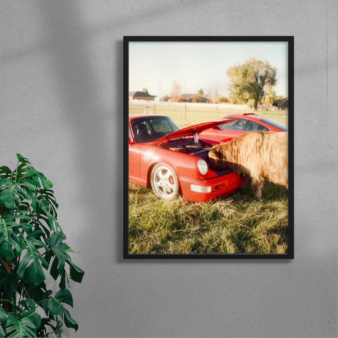 Cows and Cars - Image 4