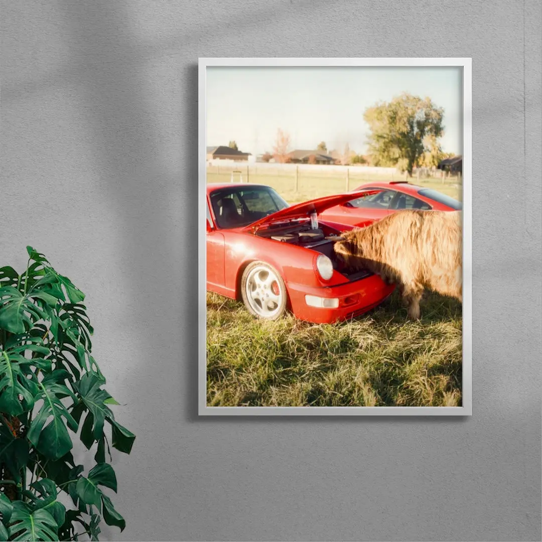 Cows and Cars - Image 5