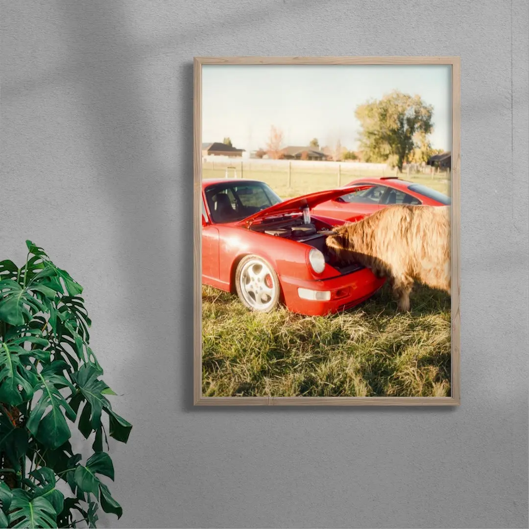 Cows and Cars - Image 6