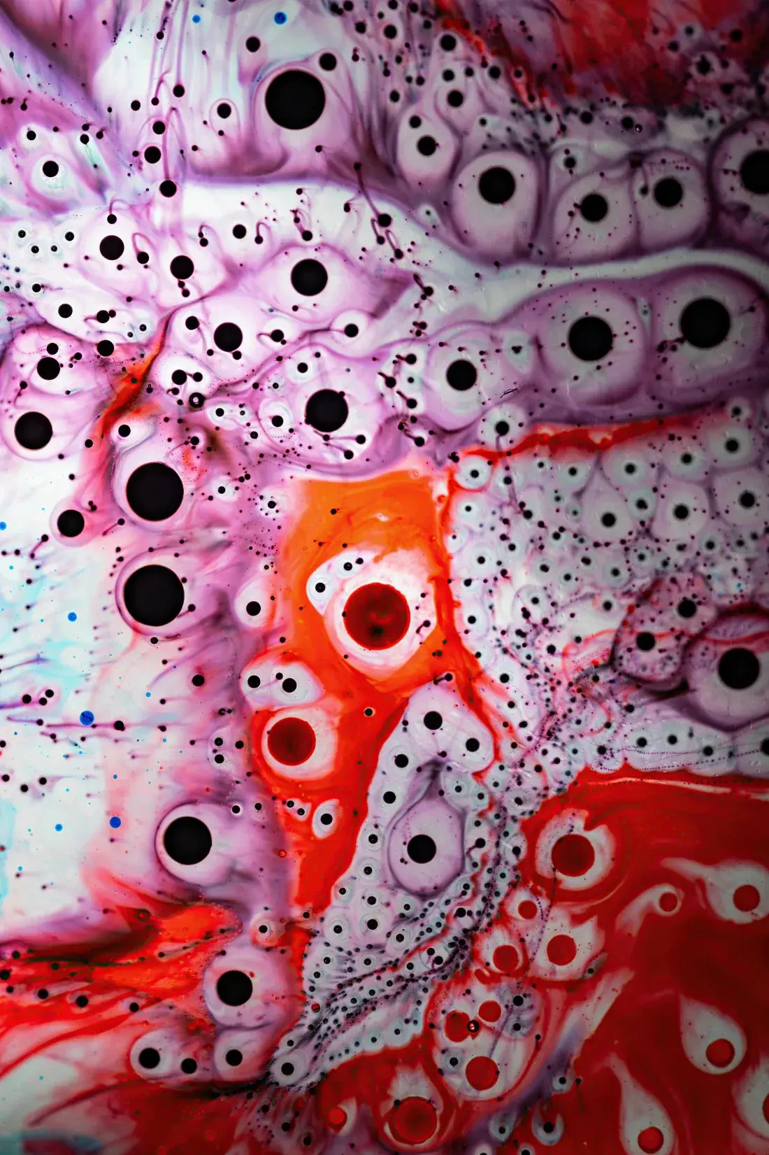 Crimson Cells - Image 2