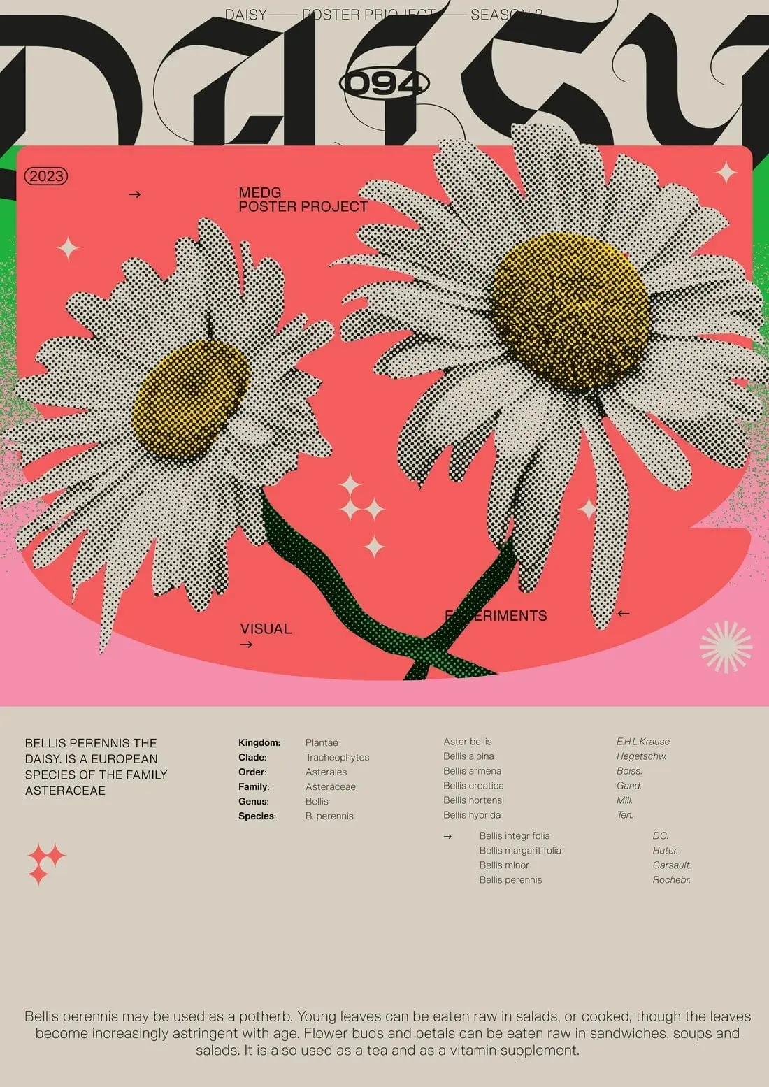 Daisy - Image 2