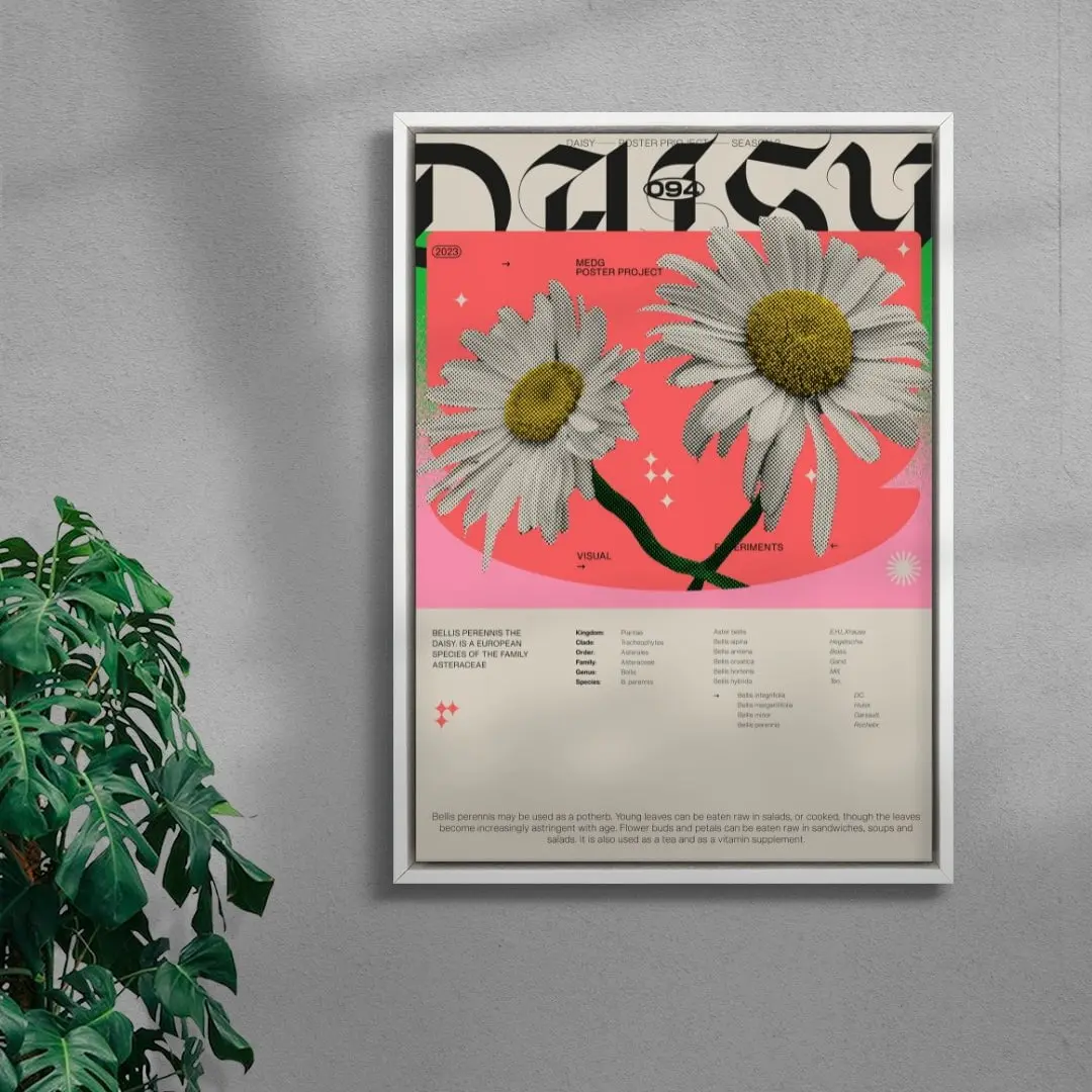 Daisy - Image 5