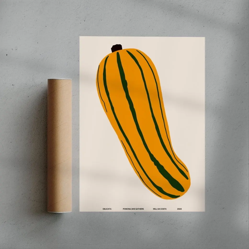 Delicata - Image 2
