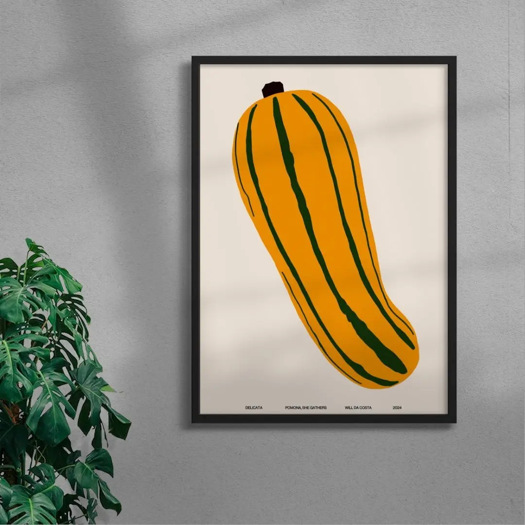 Delicata - Image 4