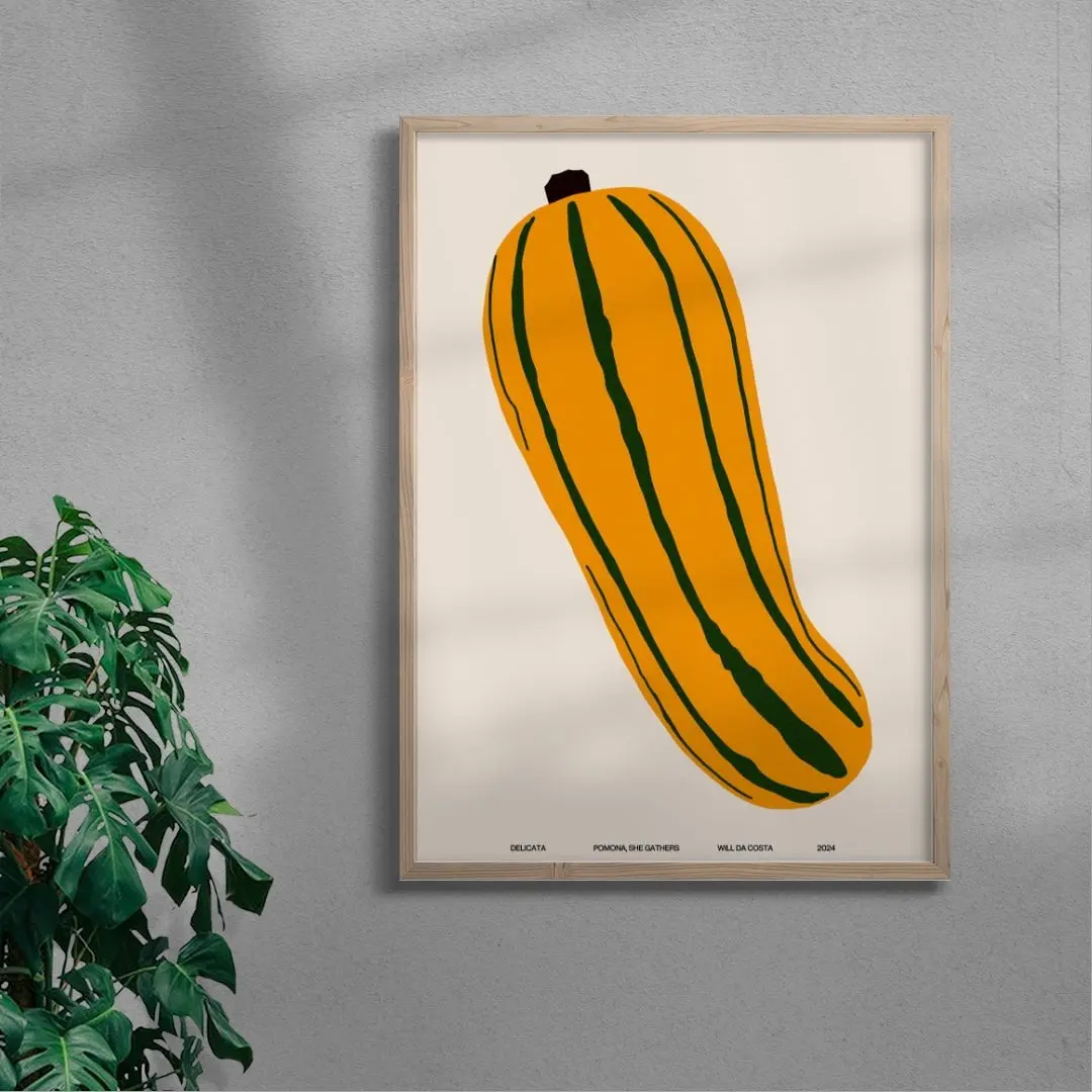 Delicata - Image 6