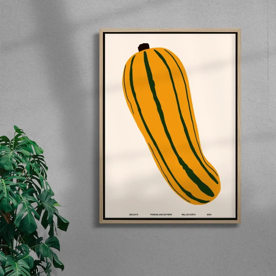 Delicata - Image 4