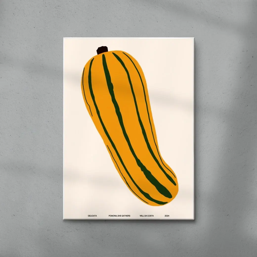 Delicata - Image 6