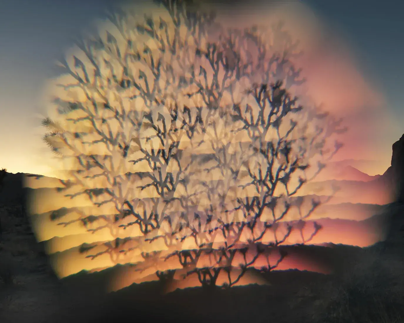 Desert Flash - Image 2