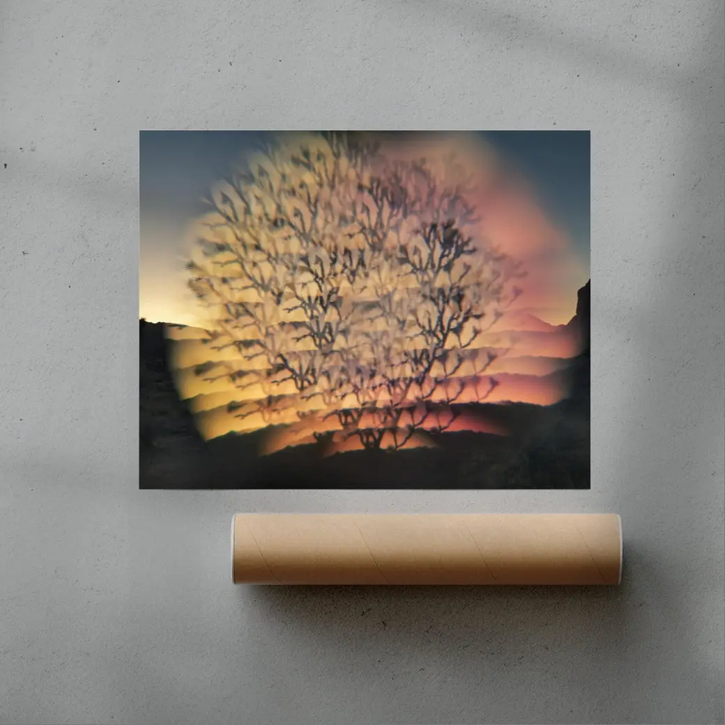 Desert Flash - Image 3
