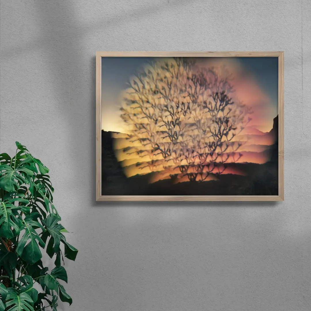 Desert Flash - Image 6