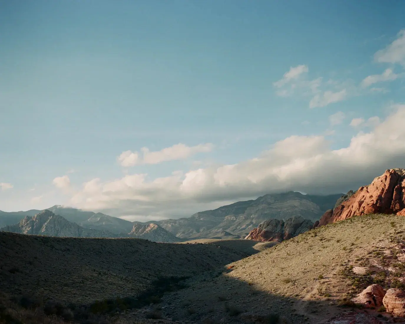 Desert Hush - Image 2