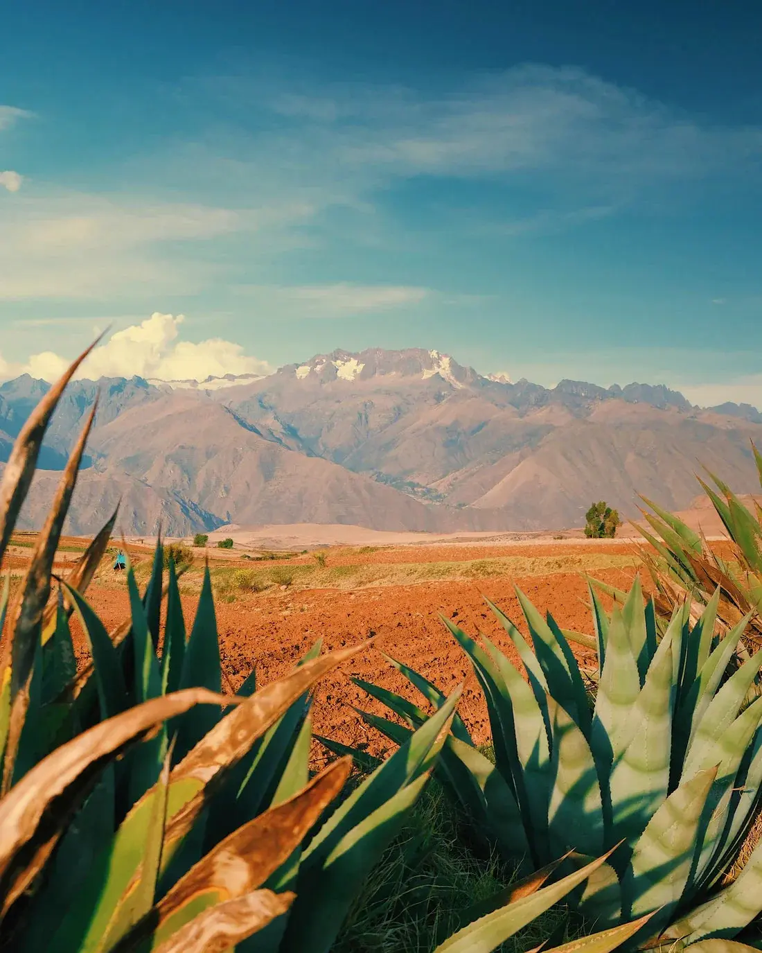 Desert Peak - Image 2