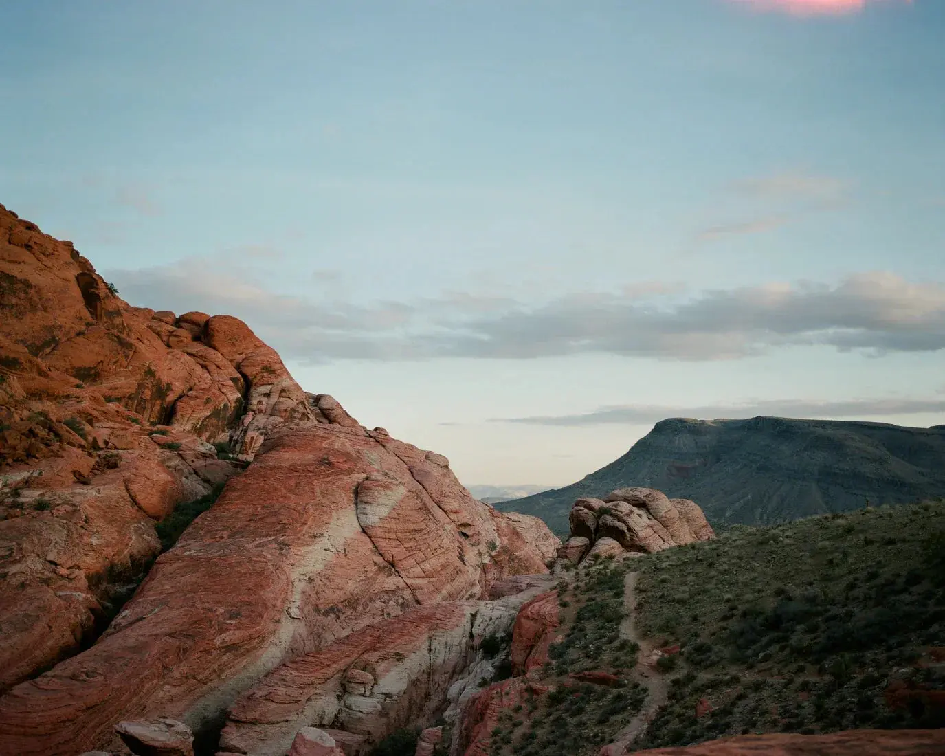Desert Veins - Image 2