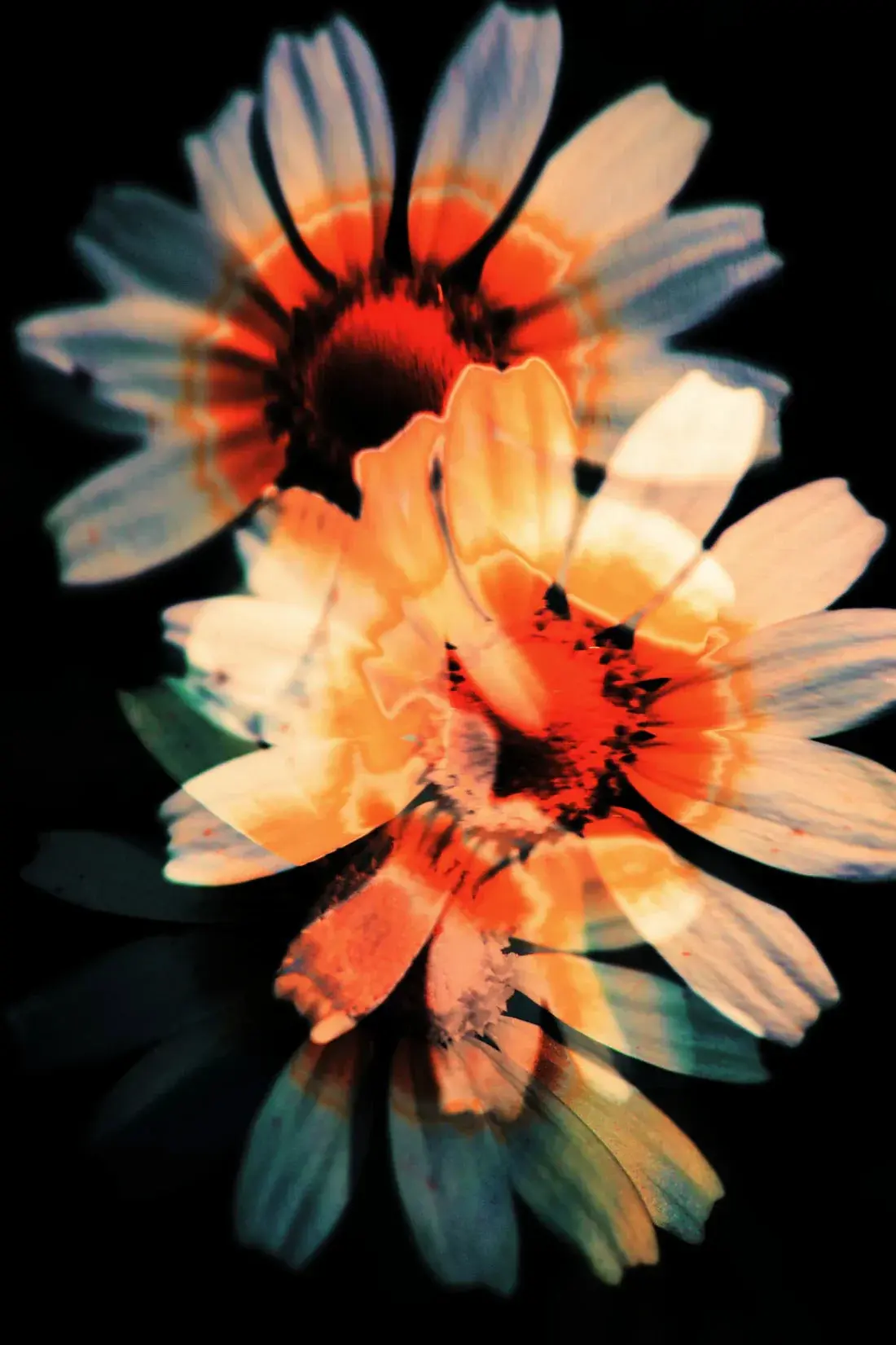 Double Exposure - Image 2