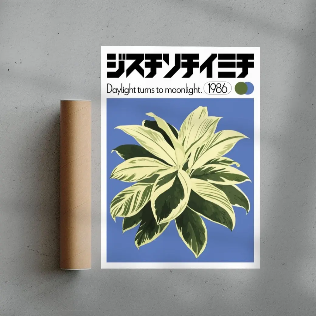 Dracaena - Image 2
