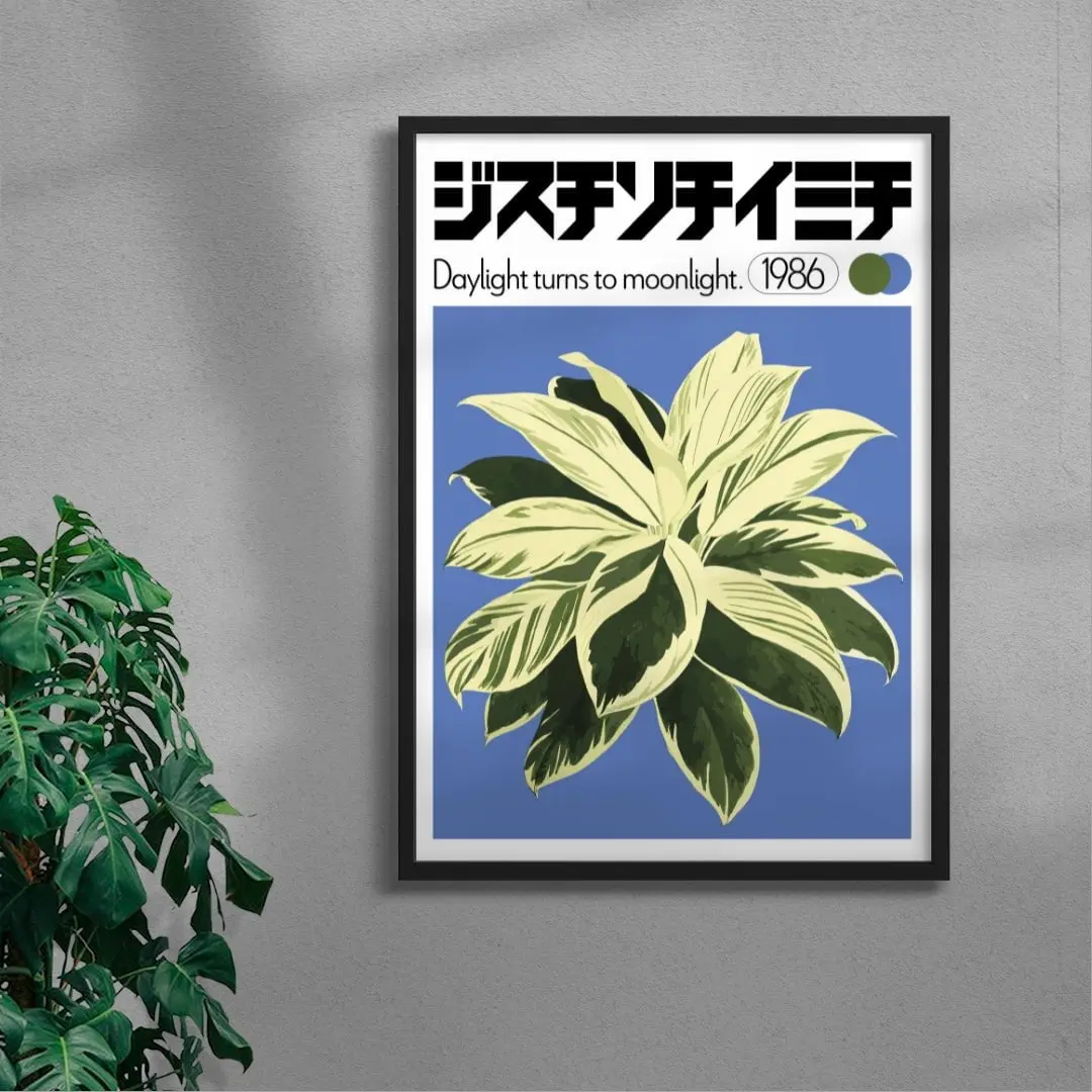 Dracaena - Image 3