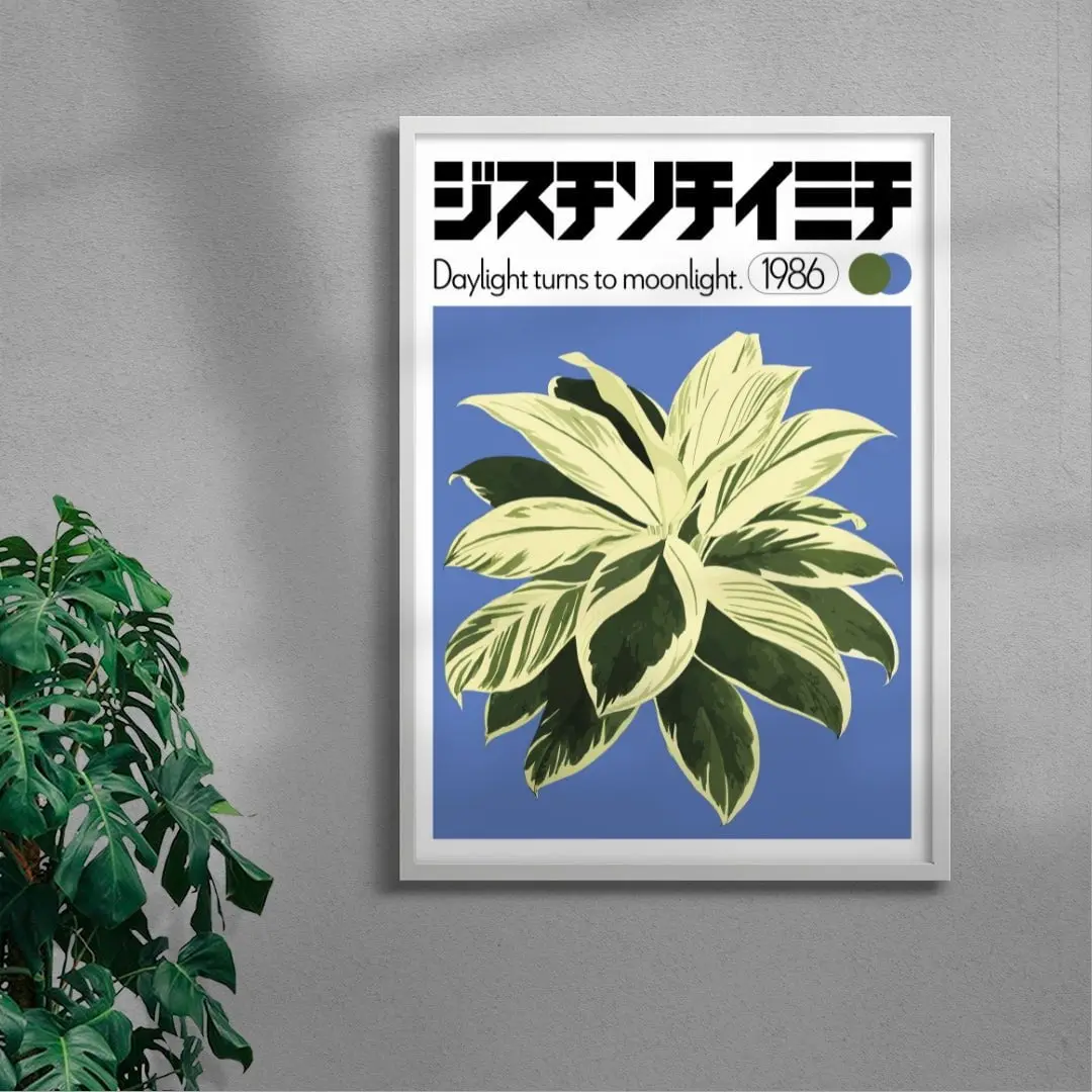 Dracaena - Image 4