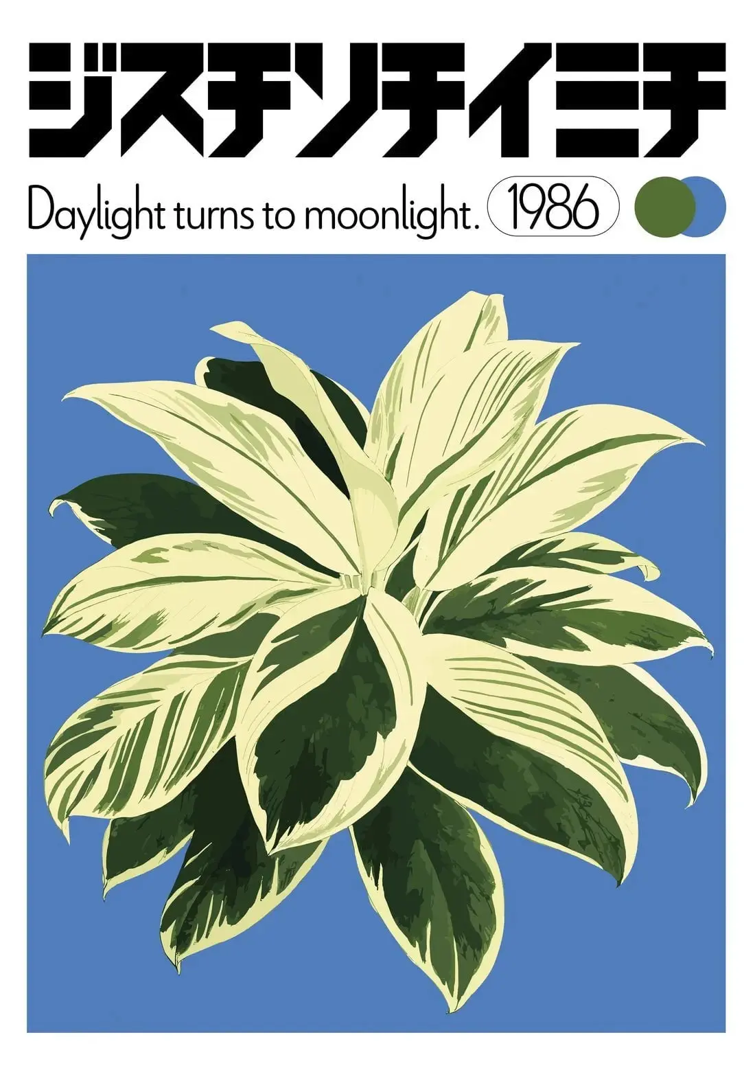 Dracaena - Image 2