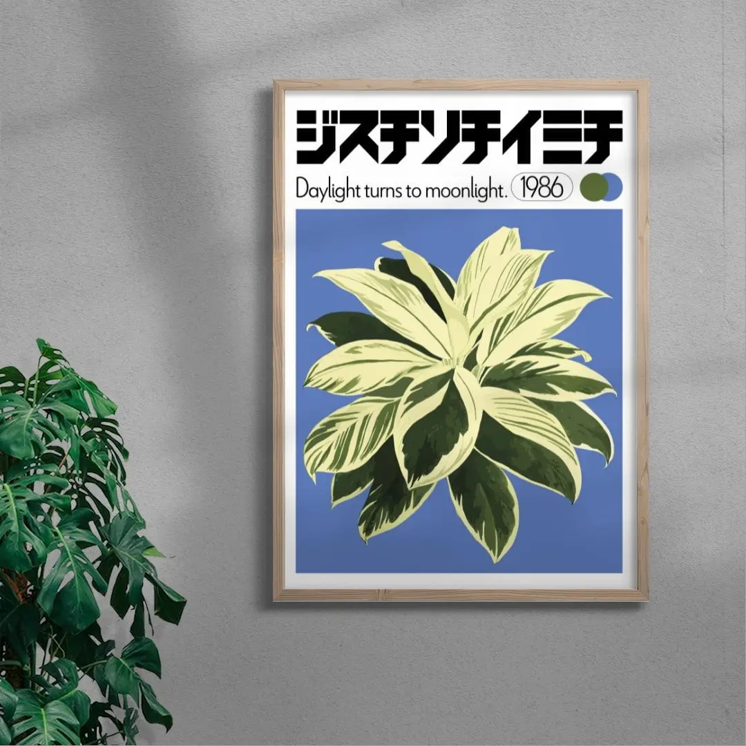 Dracaena - Image 6