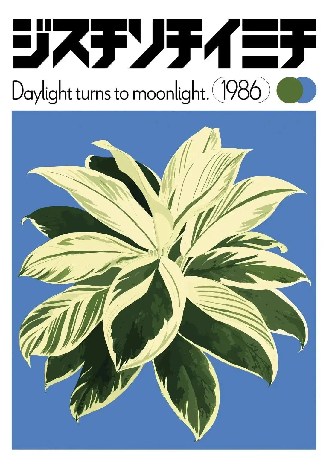 Dracaena - Image 2