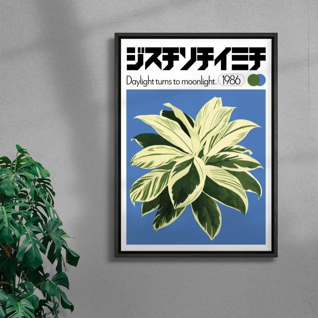 Dracaena - Image 3