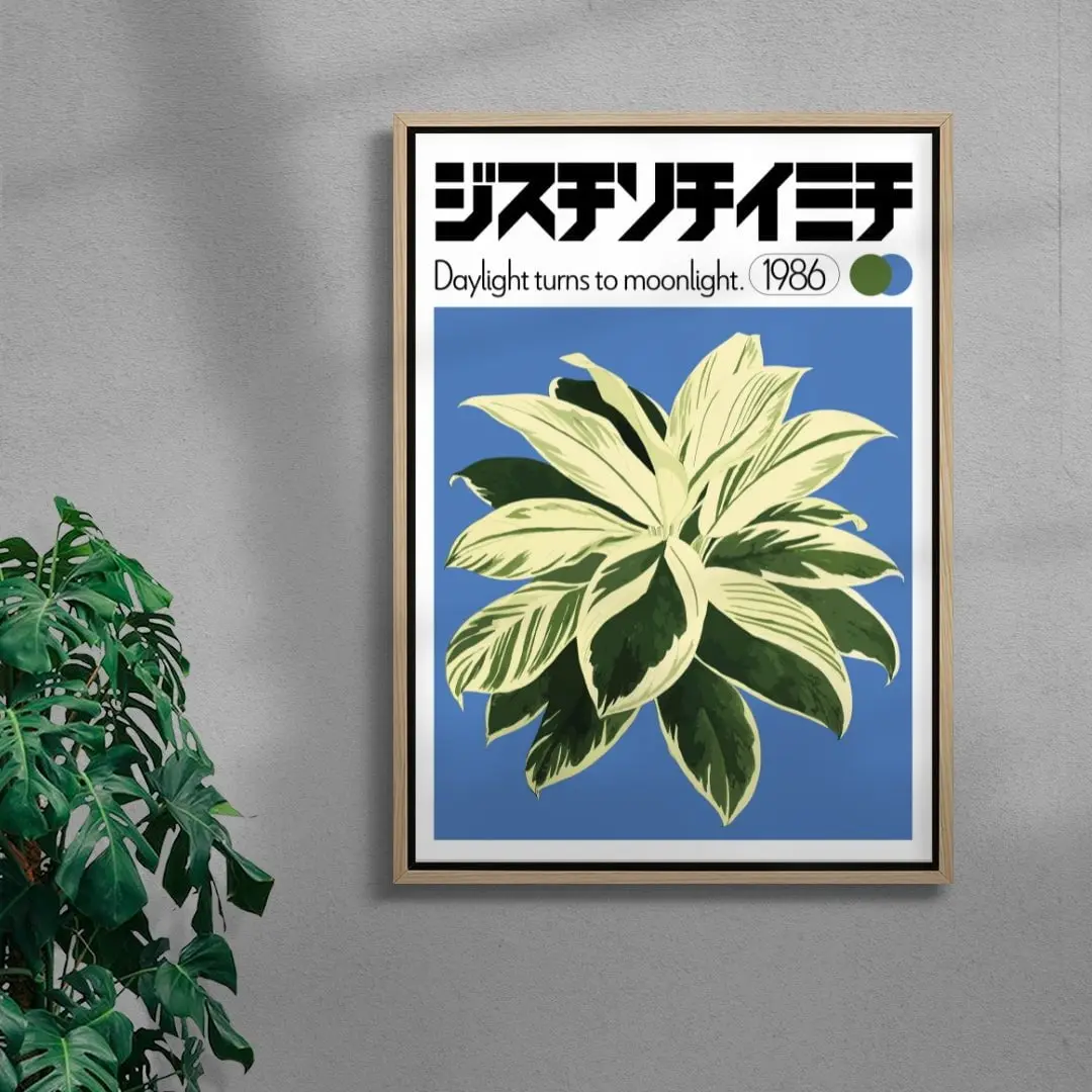 Dracaena - Image 4