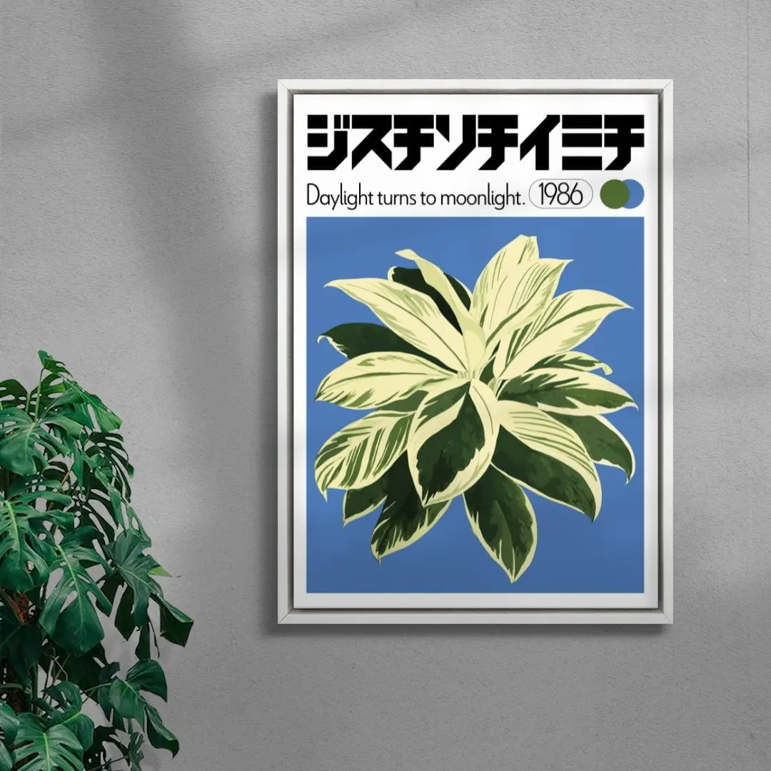 Dracaena - Image 5