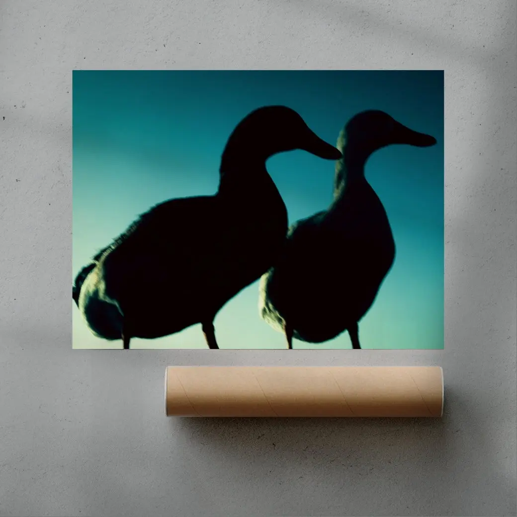 Duck Pair - Image 3