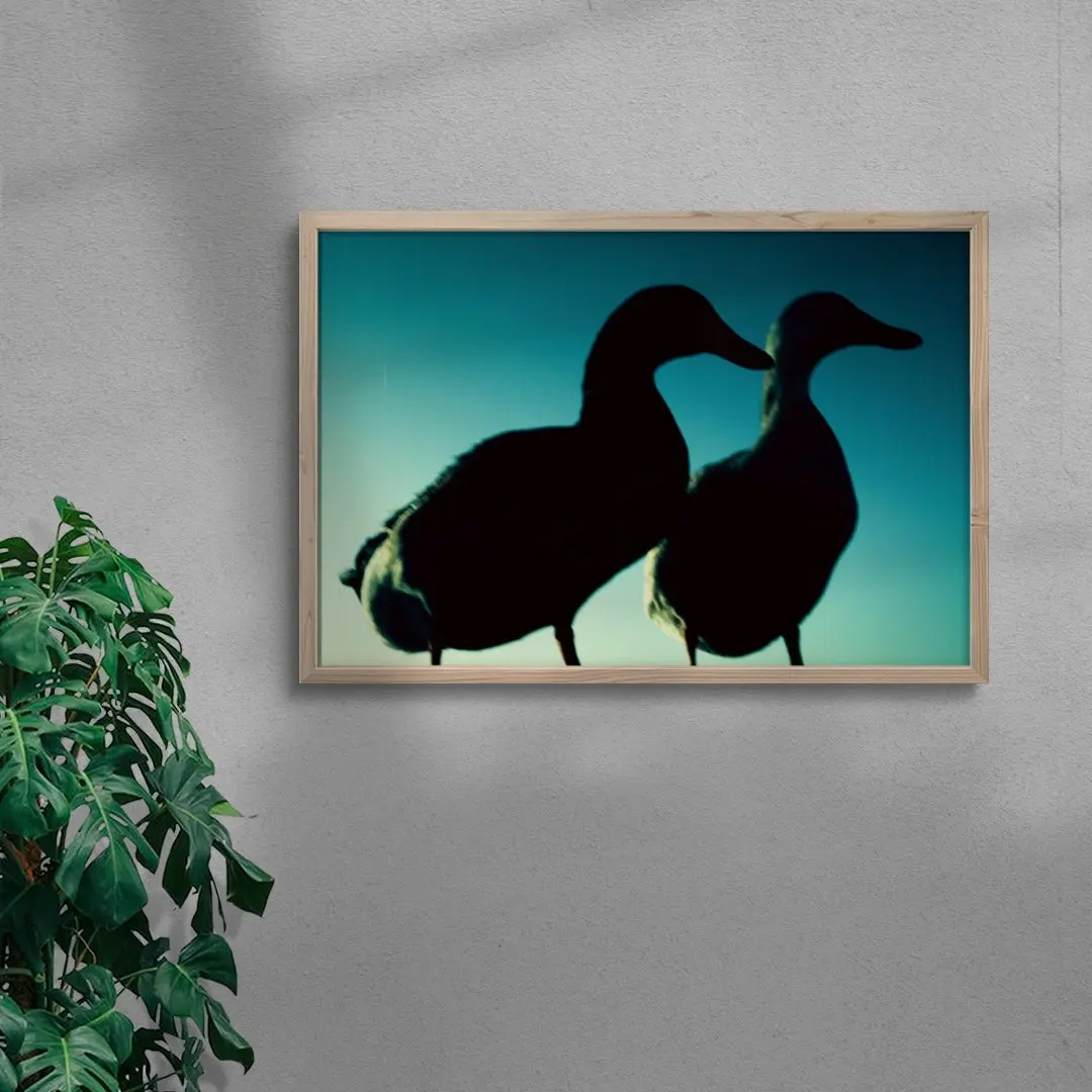 Duck Pair - Image 6