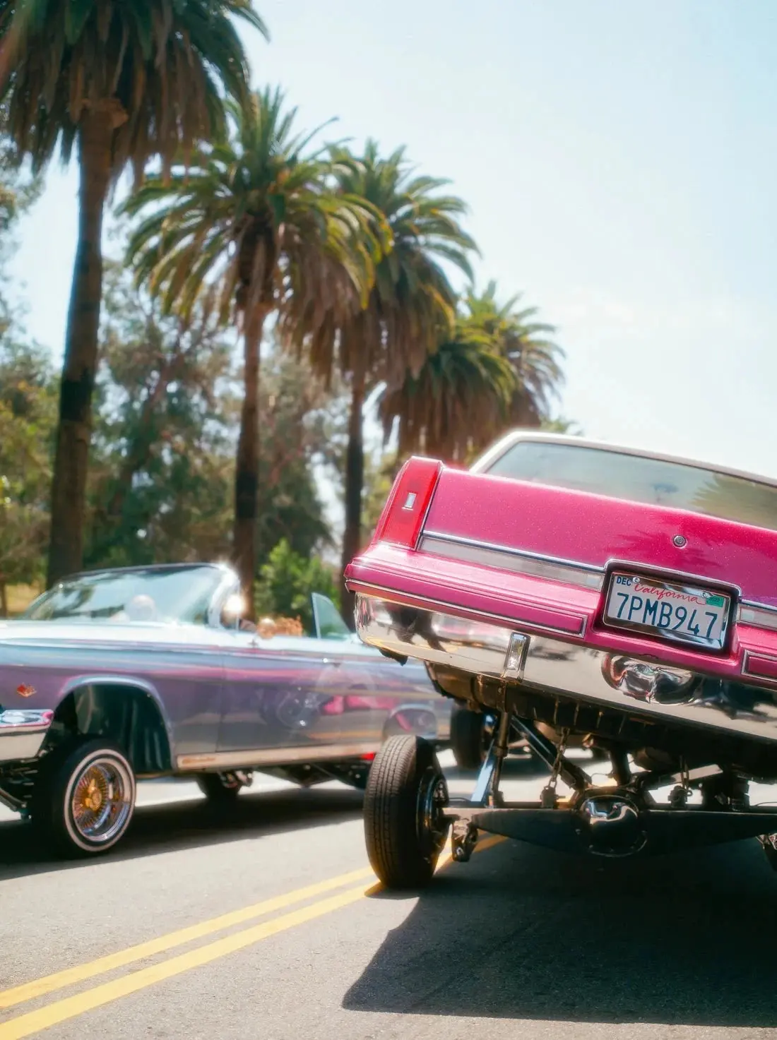 Elysian Park - Image 2