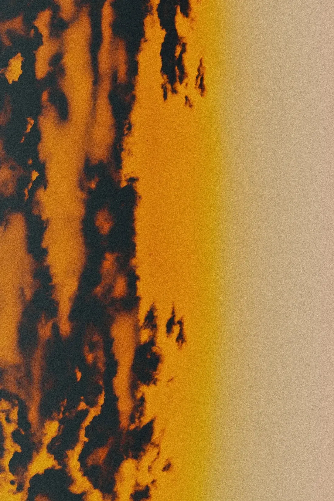 Ember - Image 2