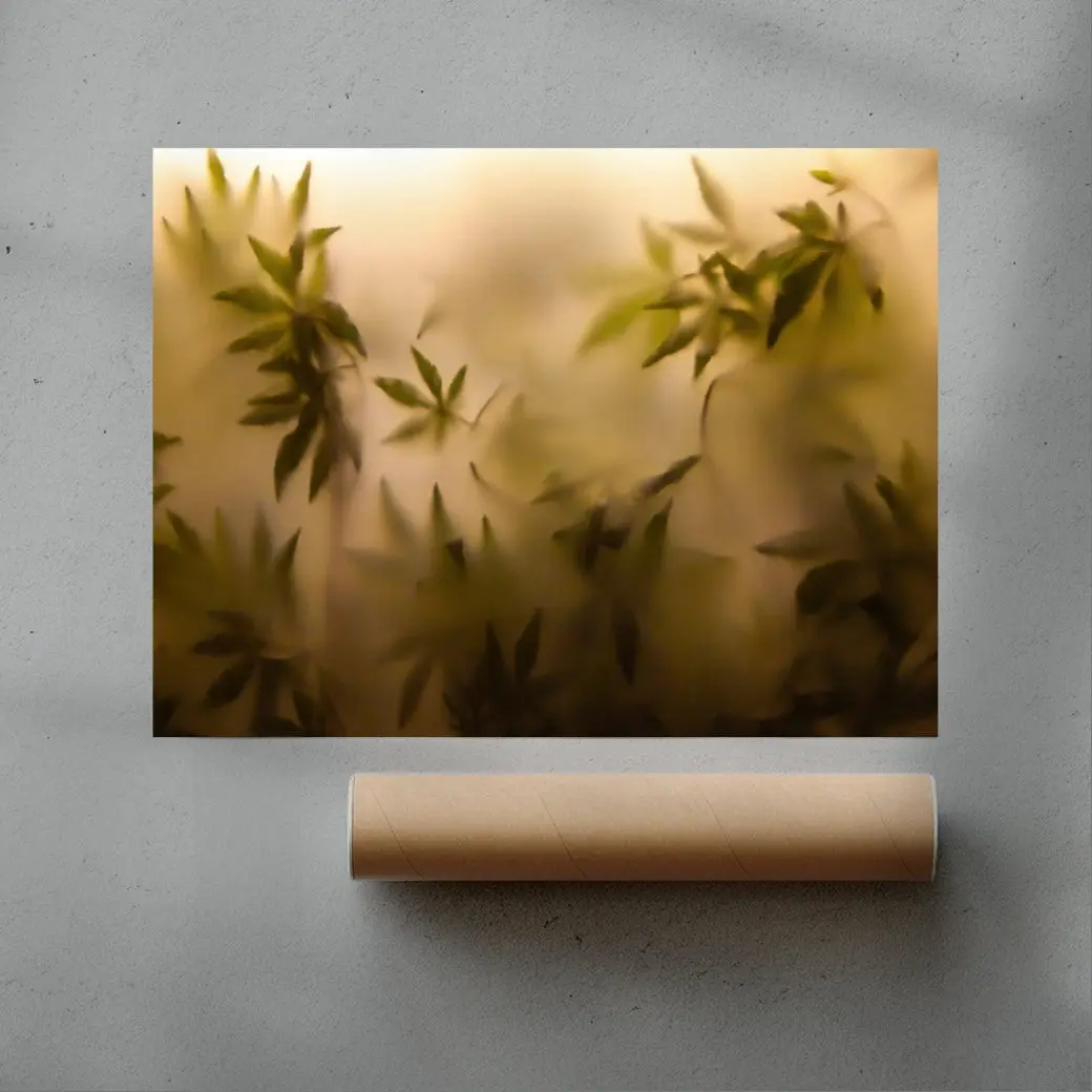 Faded - Image 3
