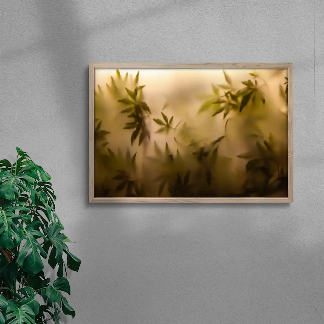 Faded - Image 6