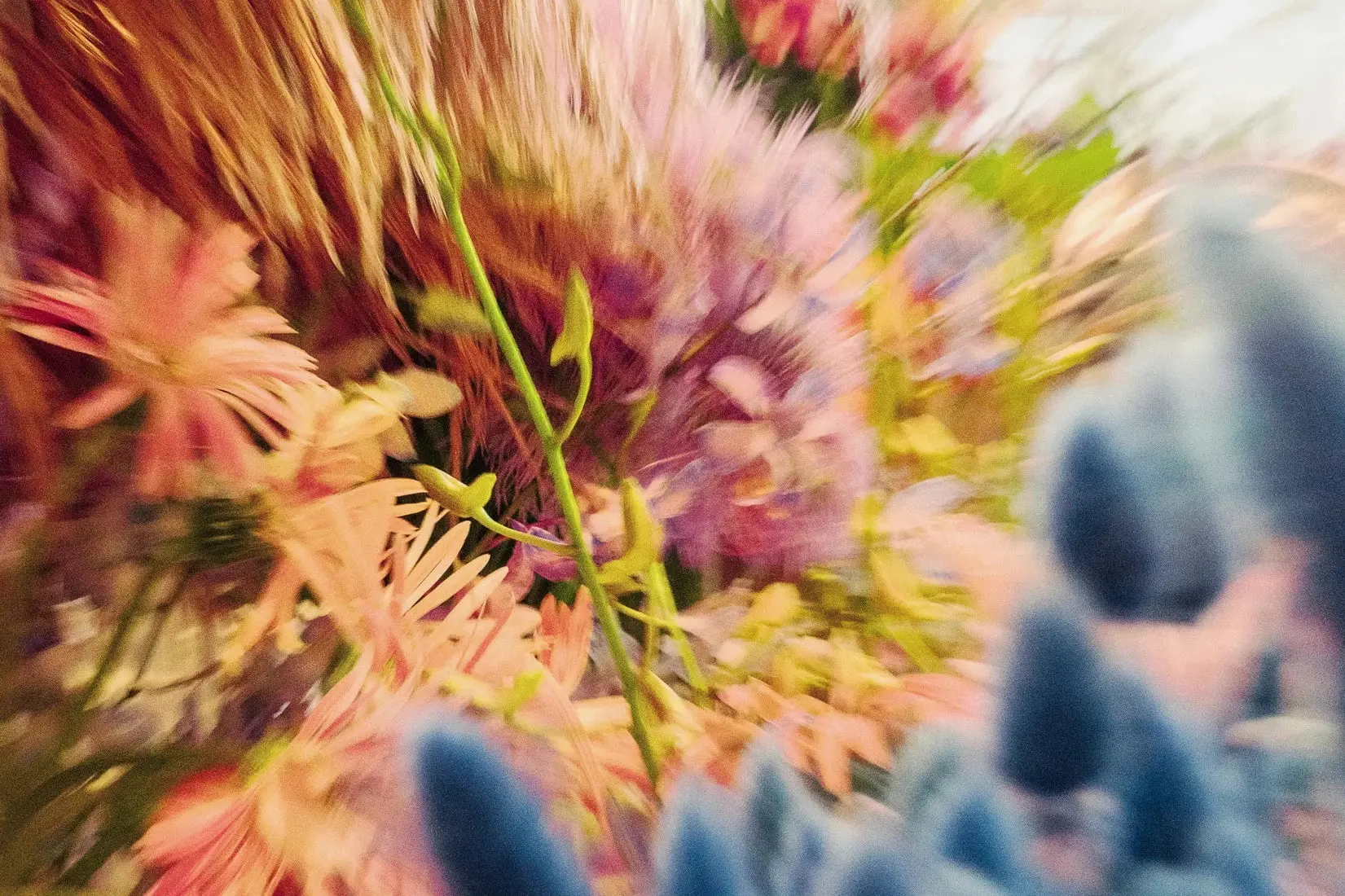Floral Blur - Image 2