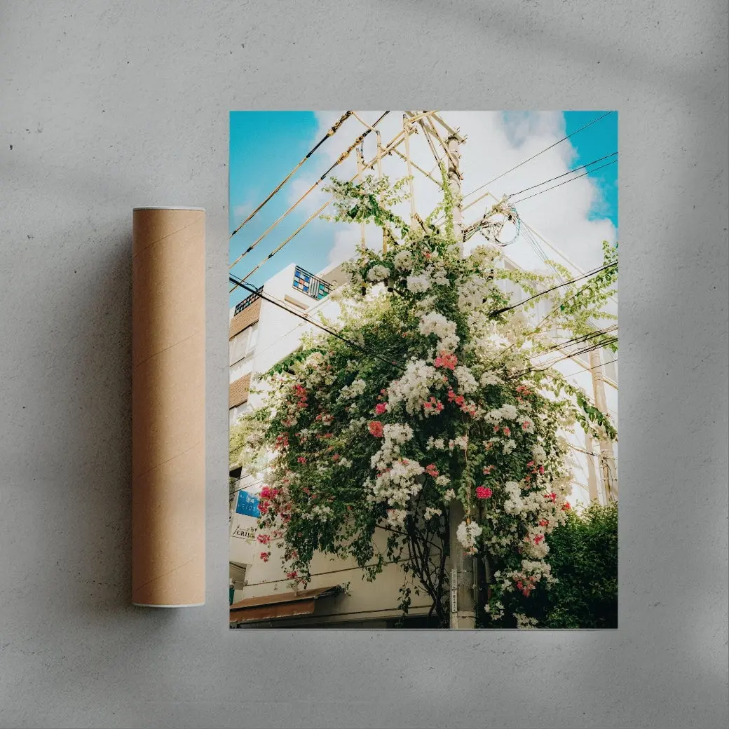 Flourish - Image 3