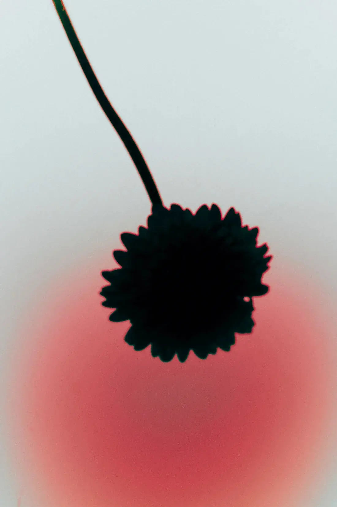 Flower Silhouette - Image 2