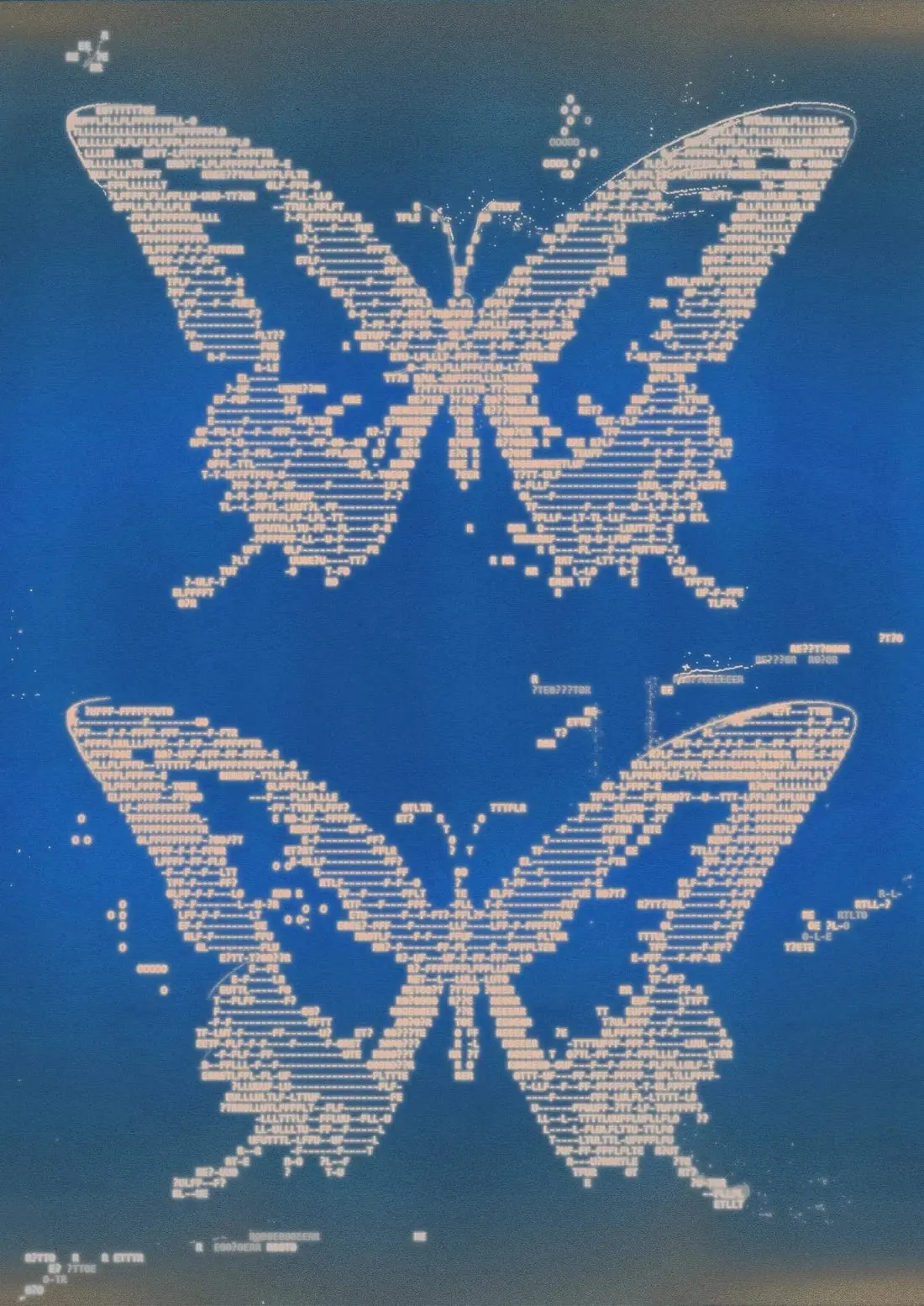 Flutter - Image 2
