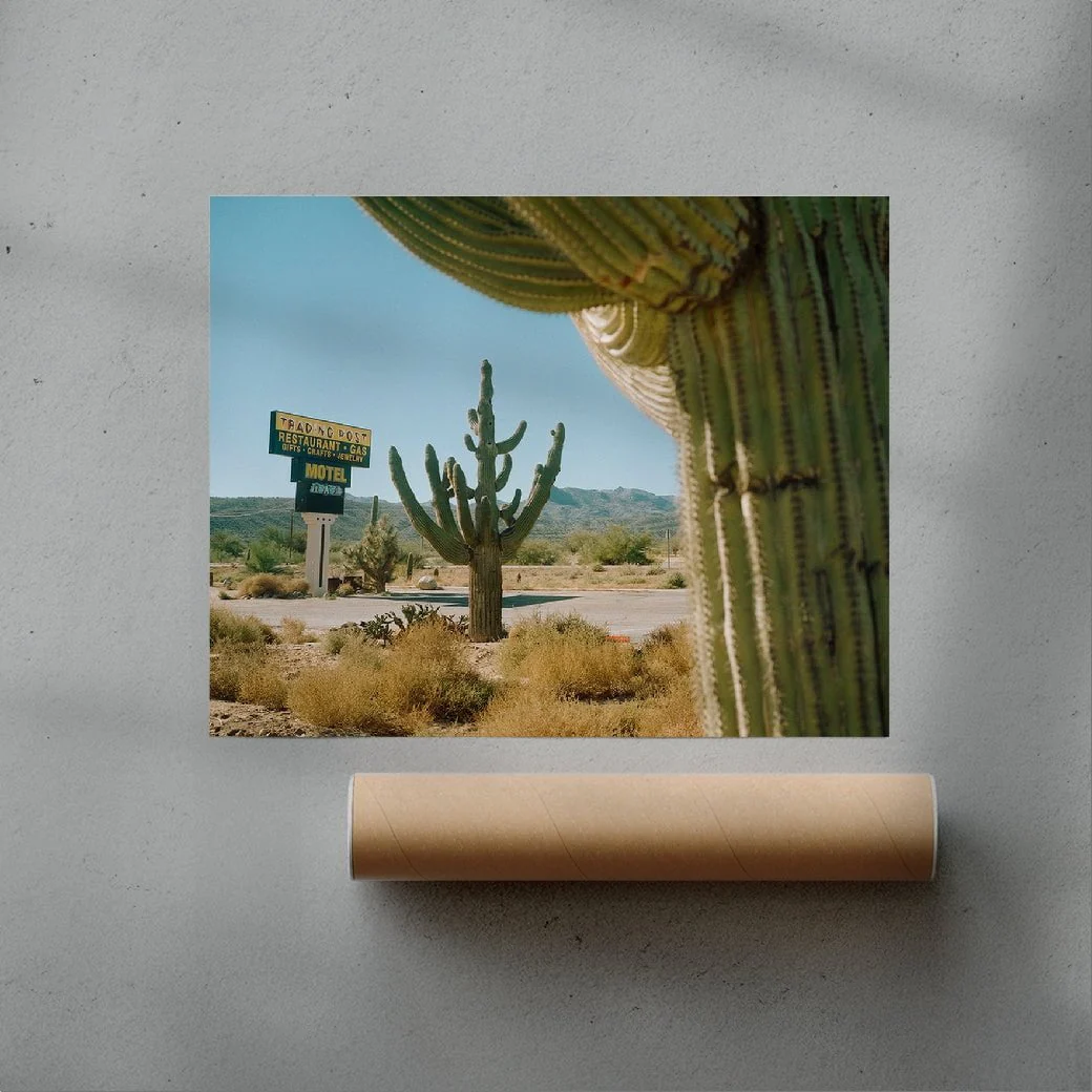Framing Saguaros - Image 3