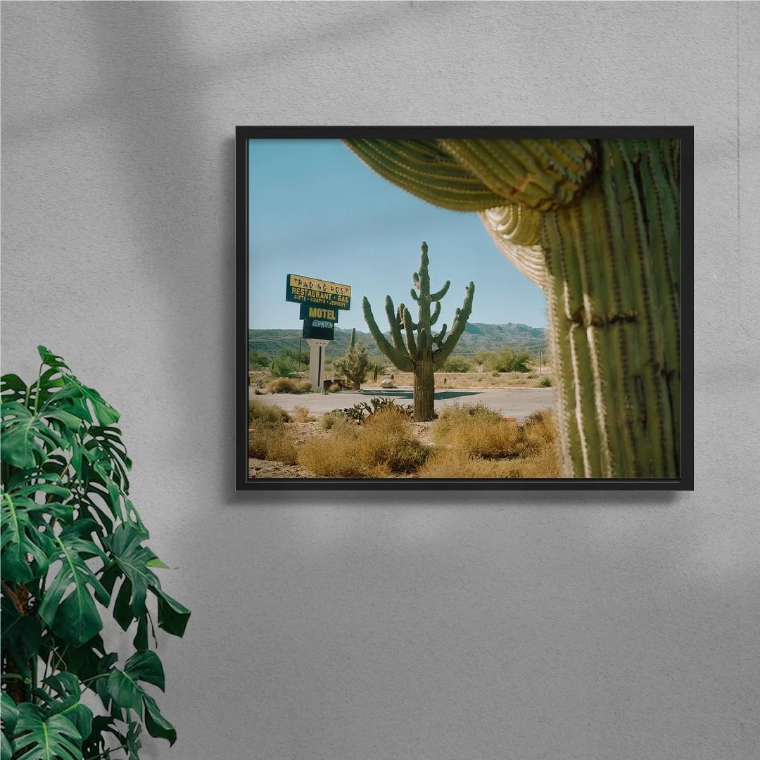 Framing Saguaros - Image 4