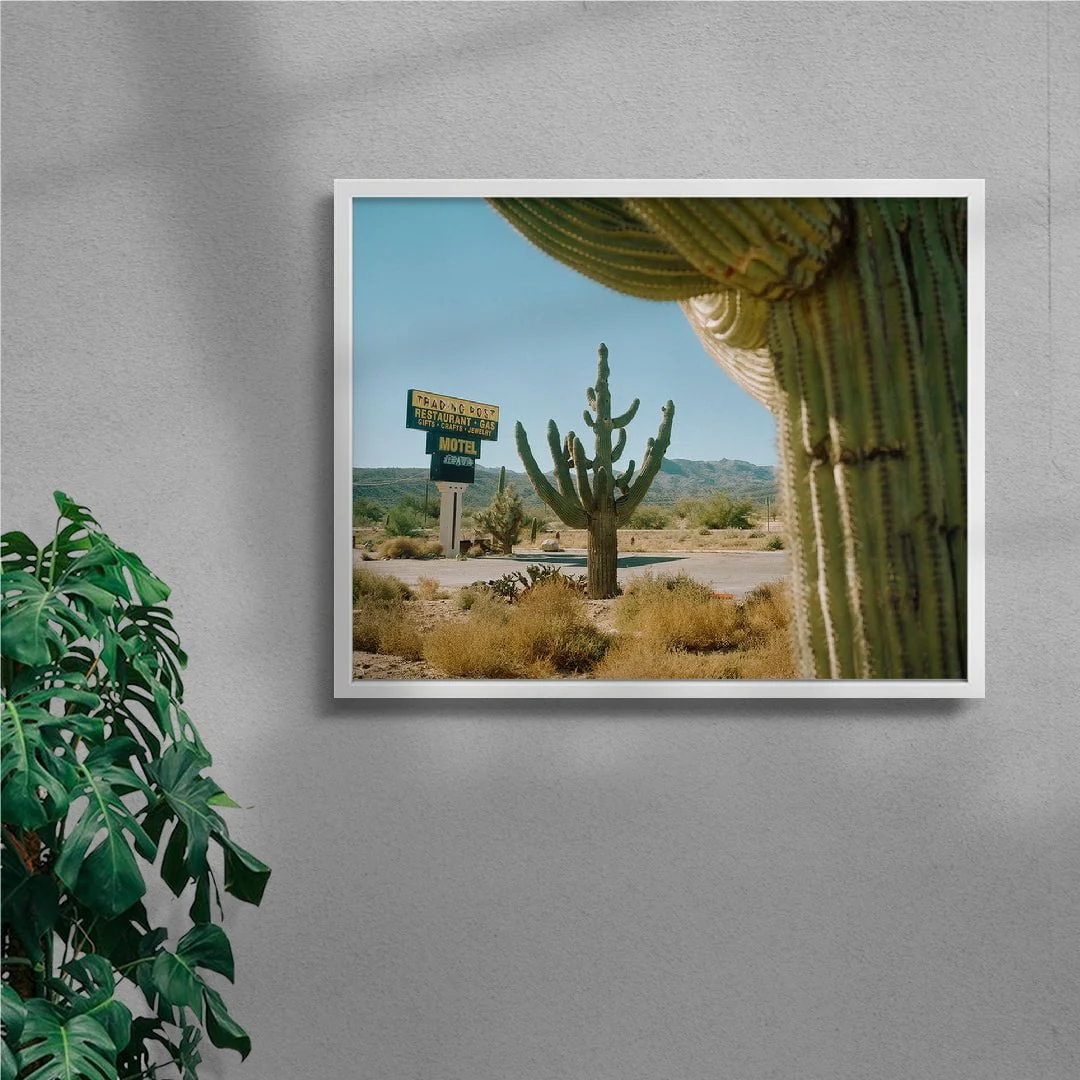 Framing Saguaros - Image 5