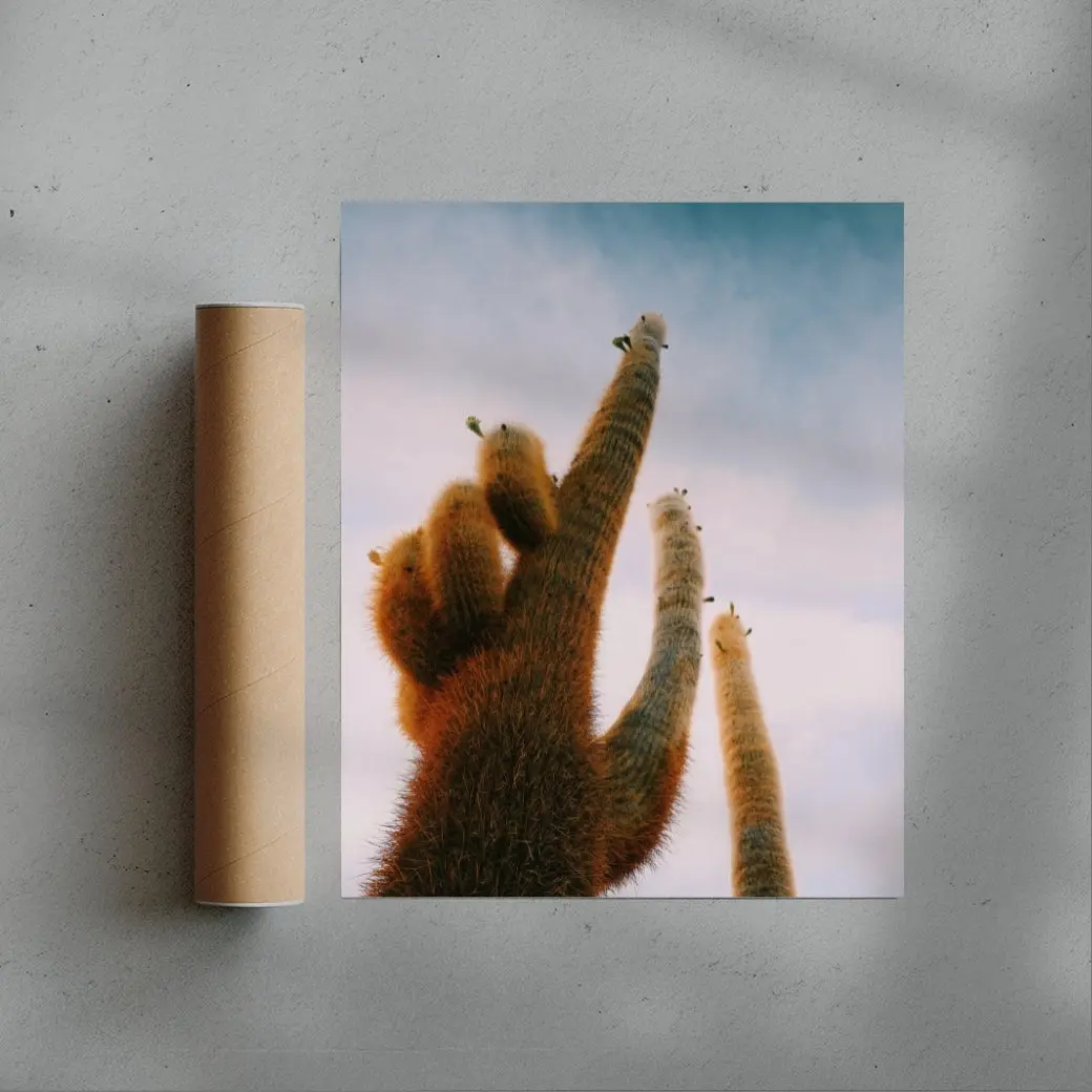 FUZZY. - Image 3