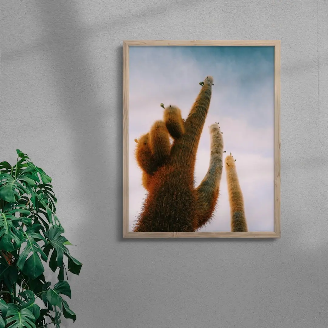 FUZZY. - Image 6