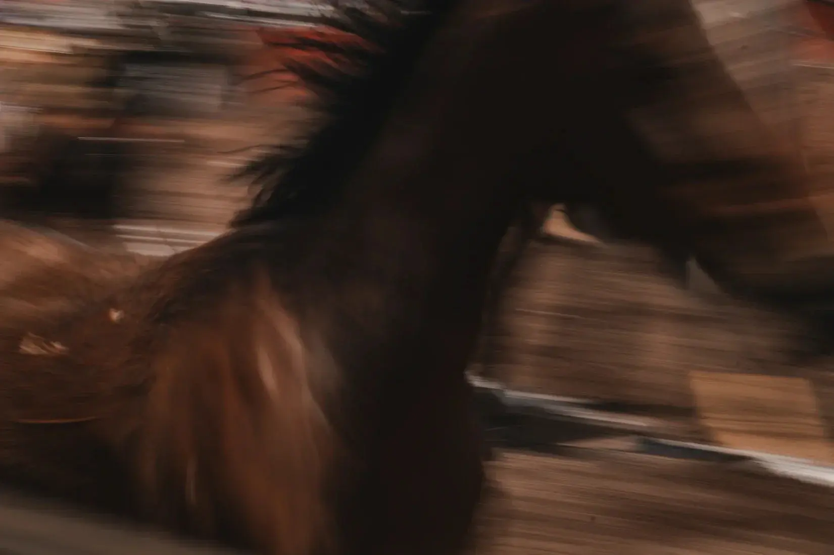 Ghost Of Speed - Image 2
