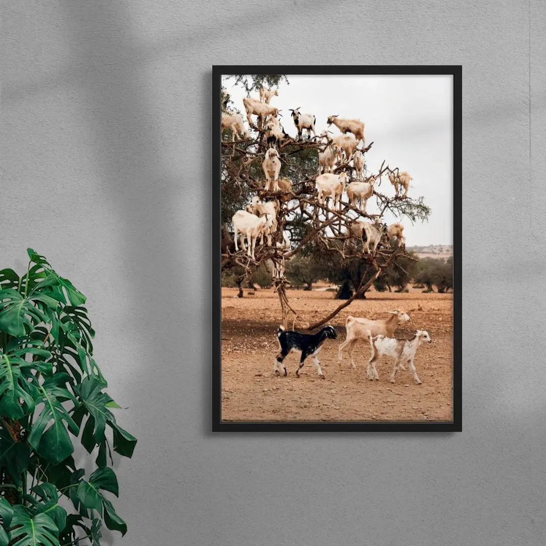 Goats - Image 4