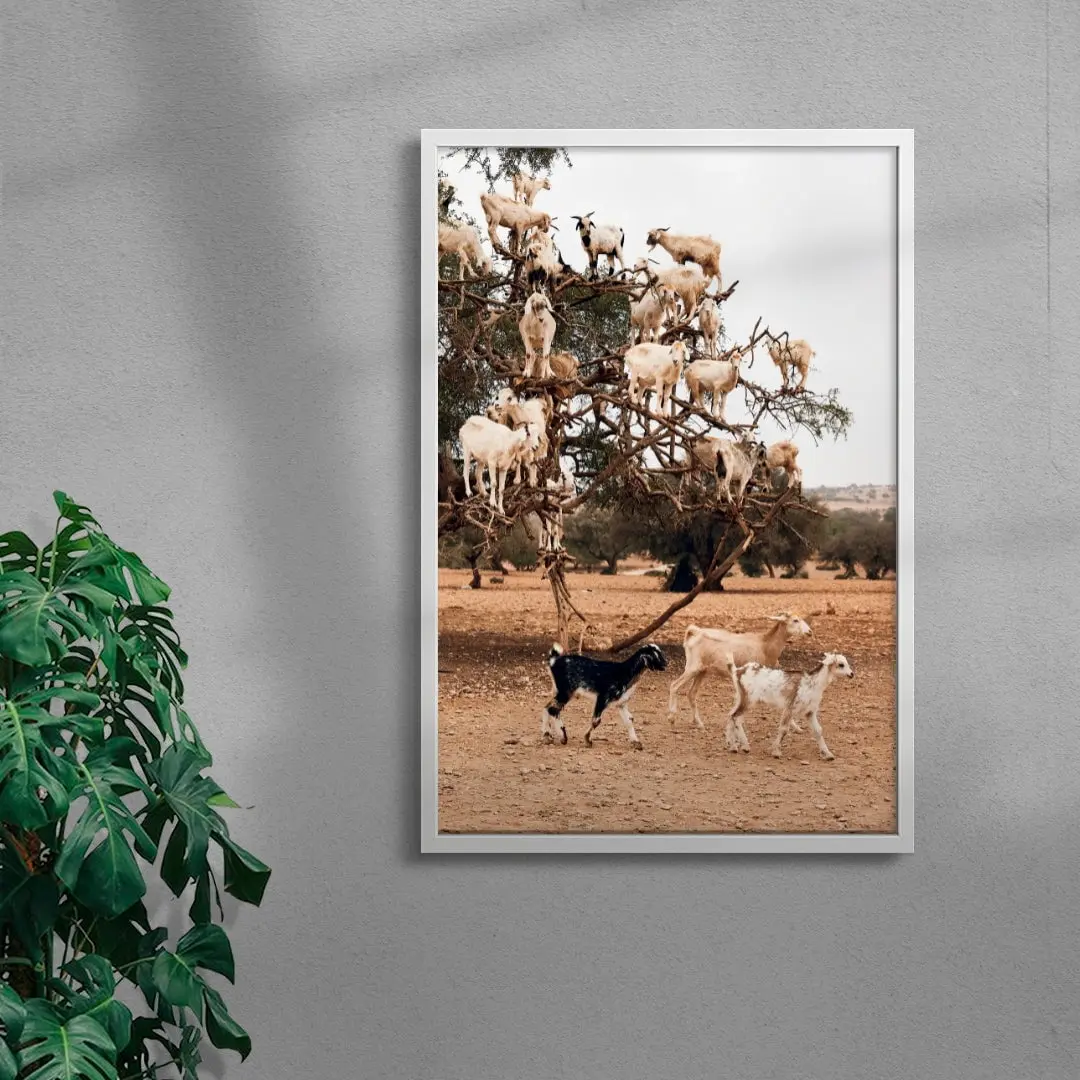 Goats - Image 5
