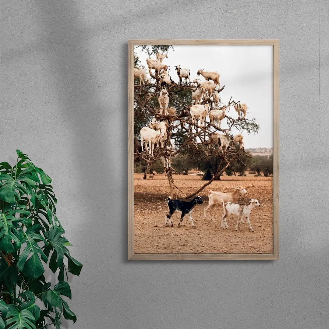 Goats - Image 6