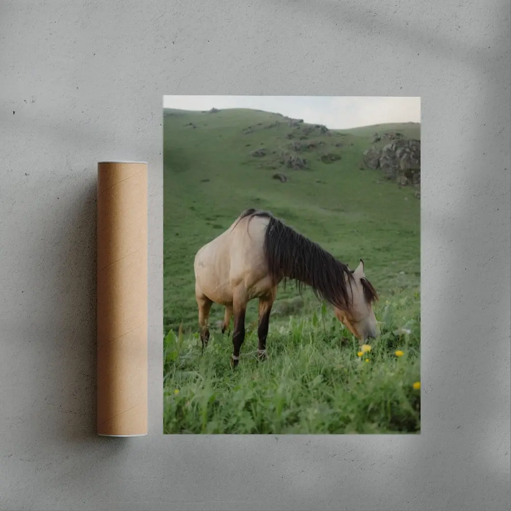 GRAZE - Image 3
