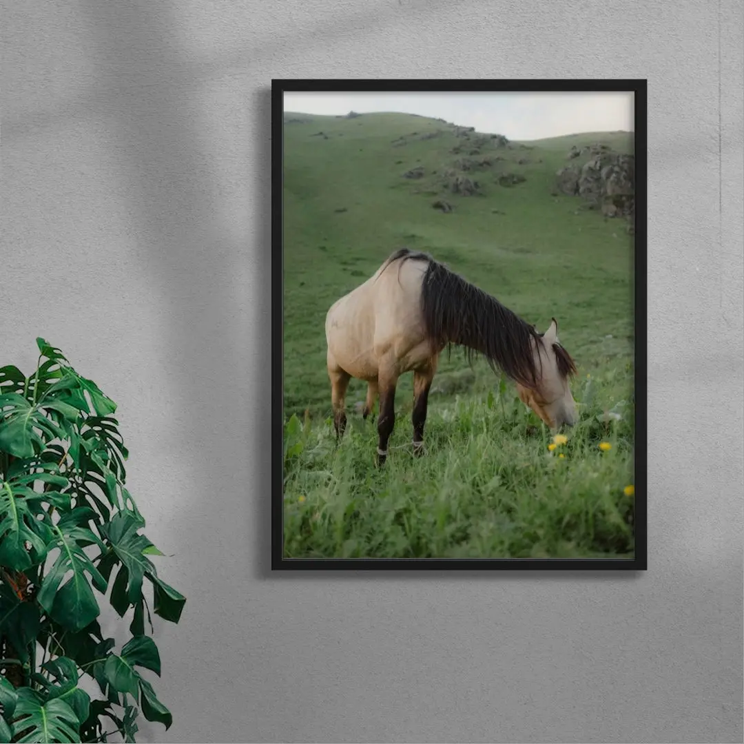 GRAZE - Image 4